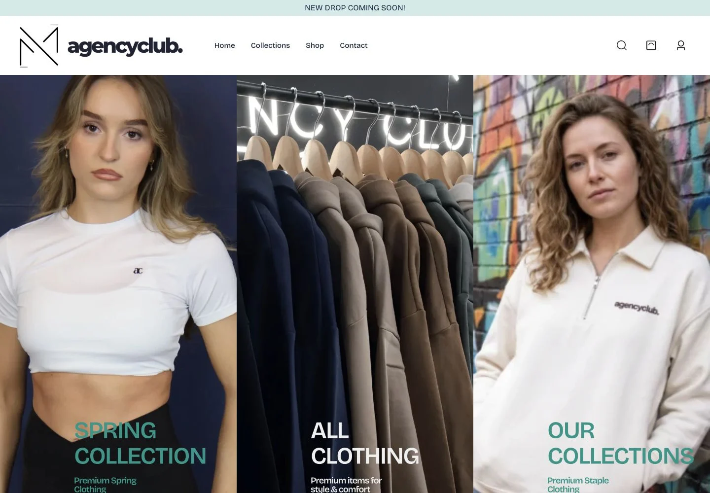 Agency Club desktop website